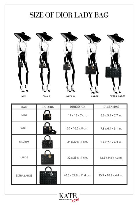 dior b22 outfit|dior b22 size chart.